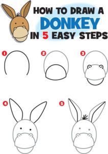 how to draw a donkey in 5 easy steps step by step instructions for children and adults