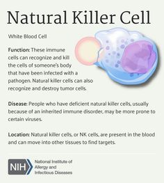 an info sheet describing the benefits of natural killer cell