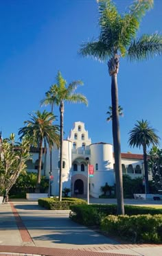 palm trees line the sidewalk in front of a large white building