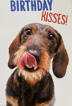 a happy birthday card with a dachshund sticking its tongue out