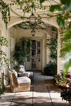 the front porch is lined with wicker chairs and potted plants on either side