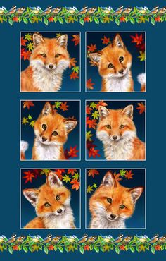 Studio E Fabric Bundle Auburn Fox Fabric block panel fabric by the panel Fox Quilt, Fox Fabric, Fox Studios, Quilt Shops, Fox Design, Fox Art, Fabric Panel, Panel Quilts, June 2022