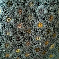 a close up view of a crocheted surface with small flowers on the top