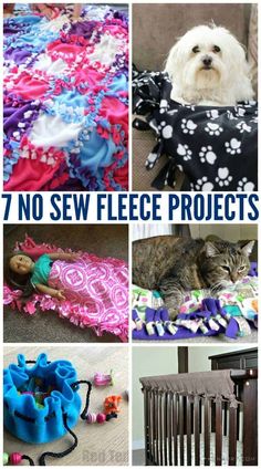 there are many different types of dog and cat beds in this collage with text overlay that says 7 no sew fleece projects