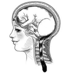 a drawing of a woman's head with her hand on top of the brain