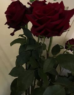 three red roses are in a vase on the floor next to a wall with white walls