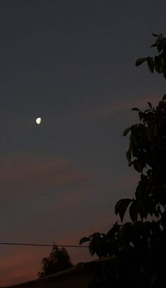 the moon is shining brightly in the night sky above some trees and power lines, as seen from across the street