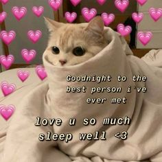 a cat wrapped up in a blanket with hearts around it and the caption goodnight to the best person i've ever met love u so much sleep well