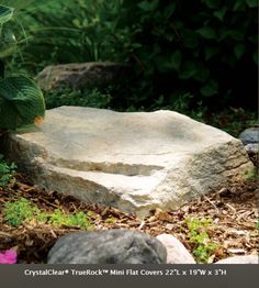 a large rock sitting in the middle of a forest filled with green plants and rocks