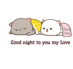 two cats sleeping next to each other with the words good night to you my love