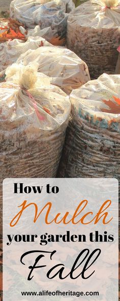 bags full of food with the words how to make your garden this fall on top