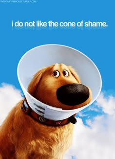 a dog with a bowl on its head and clouds in the sky behind it that says, i do not like the cone of shame