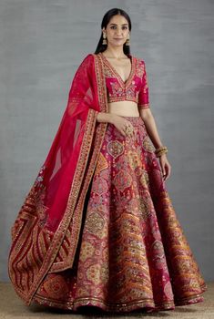 Beads Tassels, Indian Sari Dress, Designer Bridal Lehenga