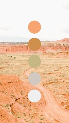 an aerial view of a dirt road in the desert with circles hanging from it's sides