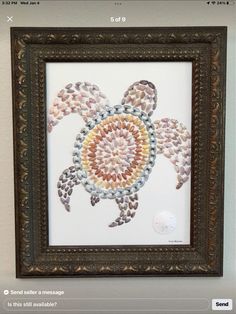 a sea turtle made out of shells in a frame