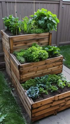 three wooden planters filled with green plants