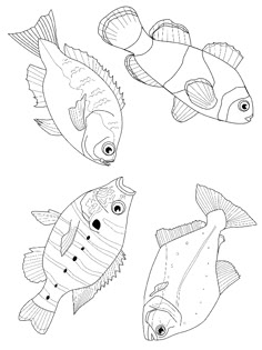 four different types of fish in black and white, one with eyes on the side