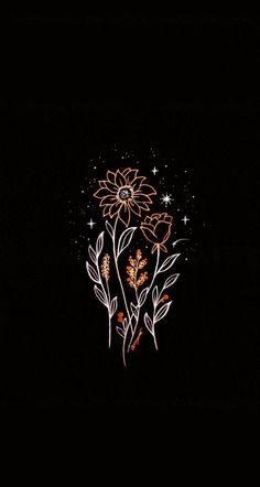 some flowers that are in the dark