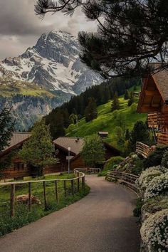 a road that is next to some houses in the mountains with snow covered mountains behind it