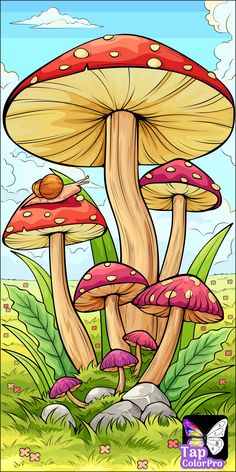 a group of mushrooms sitting on top of a lush green field