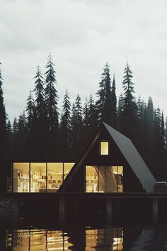 a house sitting on top of a lake next to a forest filled with tall trees