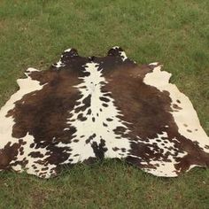 a brown and white cow hide laying in the grass