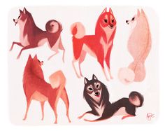 an image of some dogs that are in the process of being colored and drawn on paper