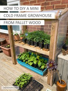 a wooden shelf filled with potted plants on top of a wooden deck next to a brick building