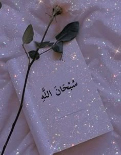 a single rose sitting on top of a white sheet with stars in the sky behind it