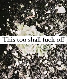 a flower that is laying on the ground with some dirt around it and an inscription reading, this too shall fock off