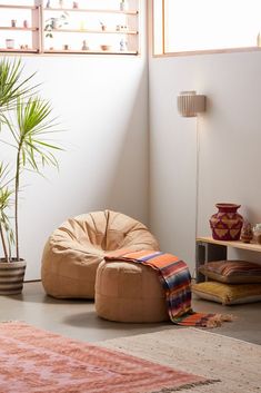 a living room filled with furniture and a potted plant