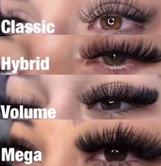 Natural Fake Eyelashes, Russian Volume Lashes, Eyelash Technician, Cat Eye Lash, Lash Extensions Styles, Volume Lash Extensions