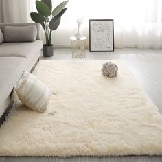 a living room with a couch, rug and potted plant on the floor in front of it