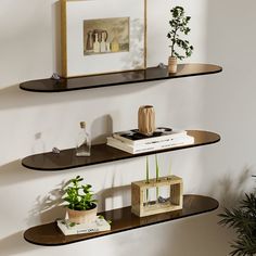 three shelves with plants and books on them