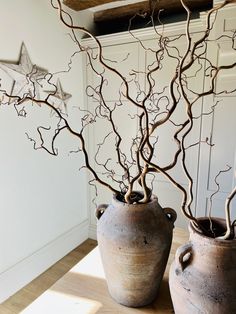 two vases with branches in them sitting on a table next to a star decoration