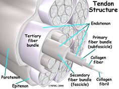 the structure of an electrical cable