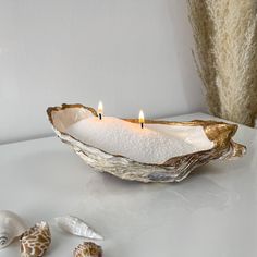 two candles are lit in a shell shaped bowl