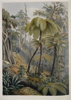 a painting of trees and plants in the jungle