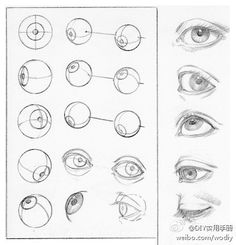 an image of different types of eyes and how to draw them with pencil on paper