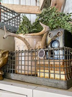 a metal basket filled with plants on top of a wooden shelf next to a gold statue