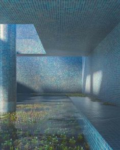 an empty room with blue tiles on the walls and water in the floor, surrounded by plants