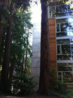 the building is surrounded by tall trees in front of some other large trees and bushes