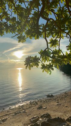 the sun is setting over the water and trees on the beach with no one in it