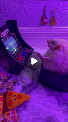 a cat sitting on top of a bed next to a video game