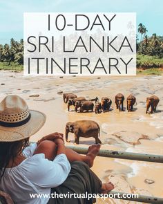 a woman looking at elephants in the water with text overlay reading 10 - day sri lanka itinerary