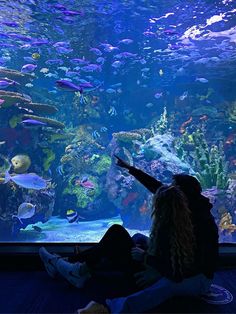 two people sitting in front of an aquarium looking at fish