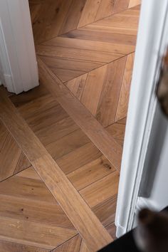 a cat is sitting on the floor next to a door