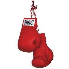 two red boxing gloves hanging from a rope on a white background with the word'fightlist'written on it