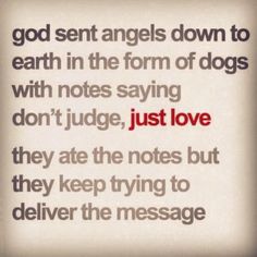 a quote that reads, god sent angels down to earth in the form of dogs with notes saying don't judge just love