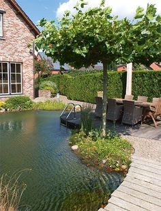 a small pond in front of a house